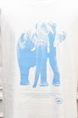 画像2: POET MEETS DUBWISE　" WILD ELEPHANT T-SHIRT "　col.WHITE (2)