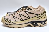 Salomon　" XT-6 GTX "　col.Sfari / Safari / Black