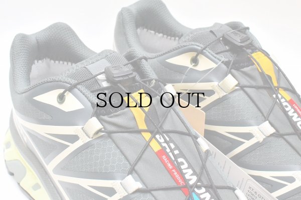 画像4: Salomon　" XT-6 GTX "　col.Urban Chic / Black/ Lime Cream