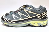 Salomon　" XT-6 GTX "　col.Urban Chic / Black/ Lime Cream