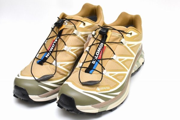 画像2: Salomon　" XT-6 GTX "　col.Antelope / Icicle / Portabella