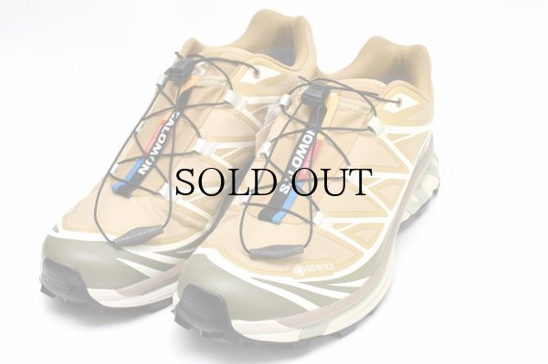 画像2: Salomon　" XT-6 GTX "　col.Antelope / Icicle / Portabella