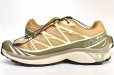 画像3: Salomon　" XT-6 GTX "　col.Antelope / Icicle / Portabella