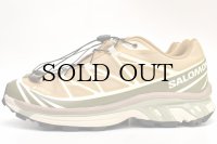 Salomon　" XT-6 GTX "　col.Antelope / Icicle / Portabella