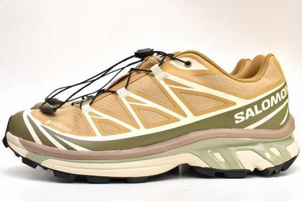 画像1: Salomon　" XT-6 GTX "　col.Antelope / Icicle / Portabella