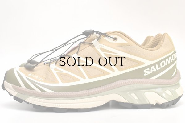 画像1: Salomon　" XT-6 GTX "　col.Antelope / Icicle / Portabella