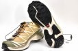 画像6: Salomon　" XT-6 GTX "　col.Antelope / Icicle / Portabella