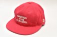 画像1: TACOMA FUJI RECORDS　" TACOMA JURASSIC LOGO CAP "　col.Pink (1)