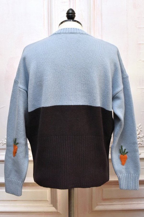 画像4: S.S Daley　" Hector Bunny Crewneck Sweater "　col.Blue/White/Brown