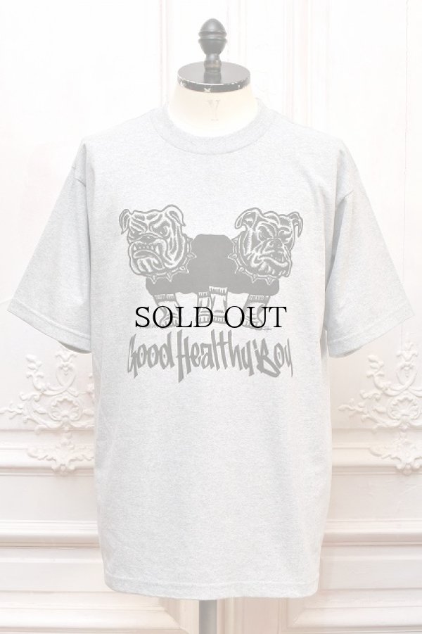 画像1: HANS　" Short Sleeve T-Shirt - good healthy boy "　col.Grey