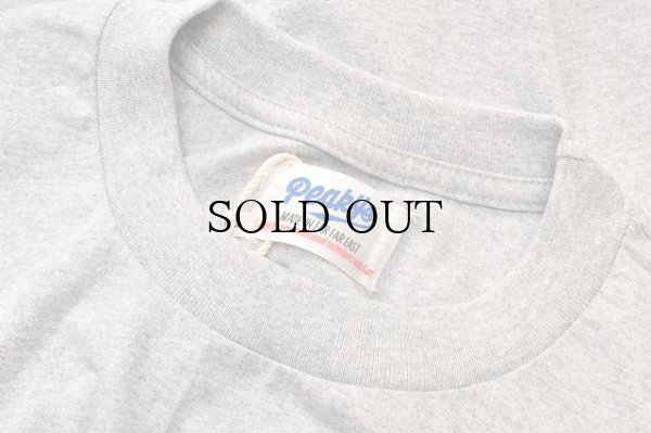 画像4: HANS　" Short Sleeve T-Shirt - good healthy boy "　col.Grey