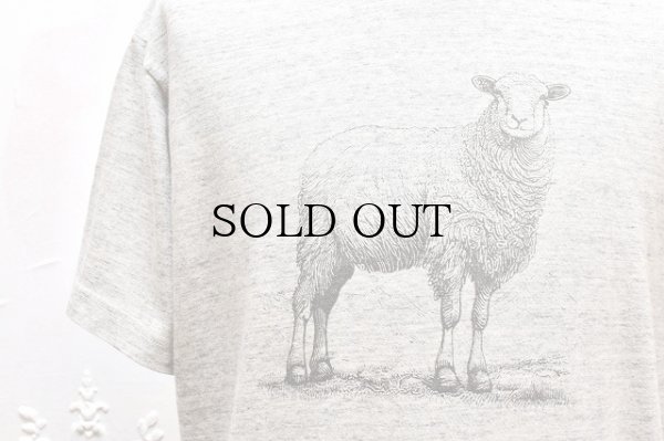 画像2:  FilMelange　" MILES SHEEP - New Linda Tenjiku S/S Tee "　col.Old Melange