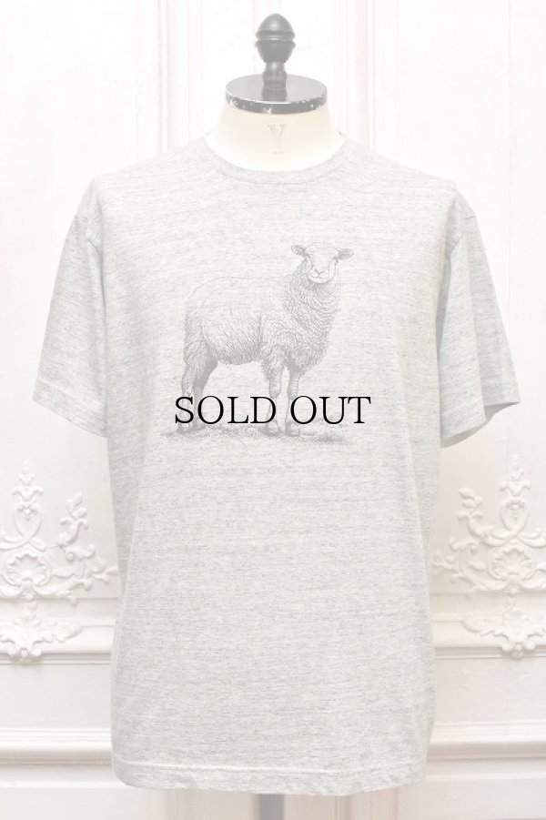画像1:  FilMelange　" MILES SHEEP - New Linda Tenjiku S/S Tee "　col.Old Melange