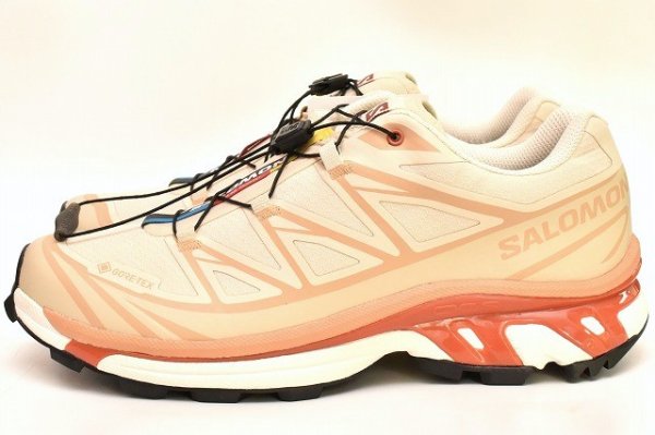 画像1: Salomon　" XT-6 GTX "　col.Almond Milk / Soft Clay /Burnt Ochre