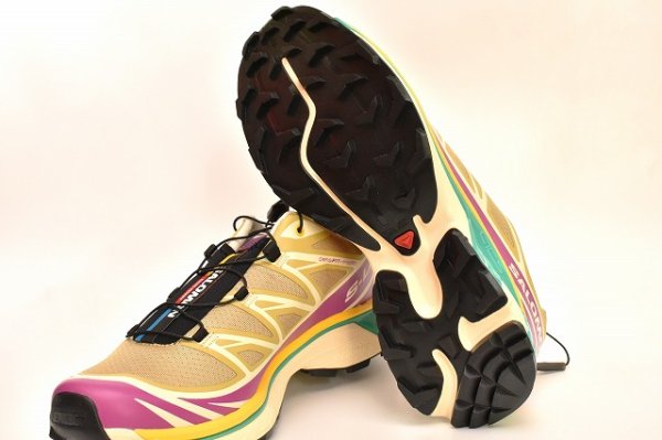 画像5: Salomon　" XT-6 "　col.Antique Gold / Transparent Yellow / Willowherb