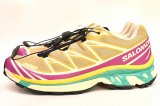 Salomon　" XT-6 "　col.Antique Gold / Transparent Yellow / Willowherb
