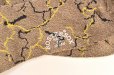 画像3: ROSTERSOX　" Lightning "　col.Green (3)