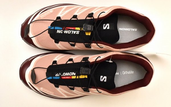 画像4: Salomon　" XT-6 GTX "　col.Mahogany Rose / Tawny Port / Black