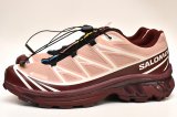 Salomon　" XT-6 GTX "　col.Mahogany Rose / Tawny Port / Black